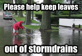 Please help keep leaves out of stormdrains - Please help keep leaves out of stormdrains  Flashflooding