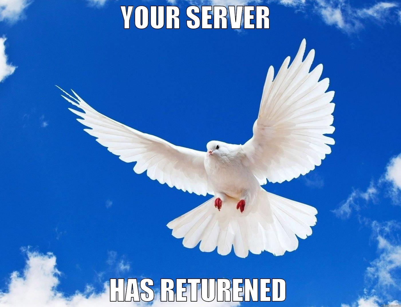 YOUR SERVER  HAS RETURENED Misc