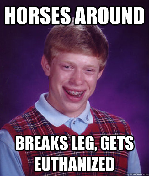 Horses around Breaks leg, gets euthanized  Bad Luck Brian