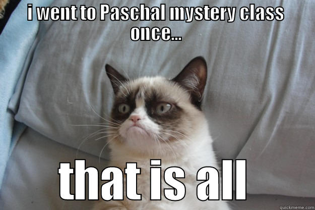 I WENT TO PASCHAL MYSTERY CLASS ONCE... THAT IS ALL Grumpy Cat