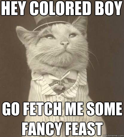 Hey Colored Boy Go fetch me some Fancy Feast  Aristocat