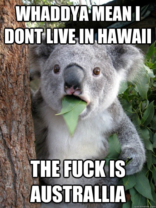 Whaddya mean I dont live in hawaii the fuck is australlia  koala bear