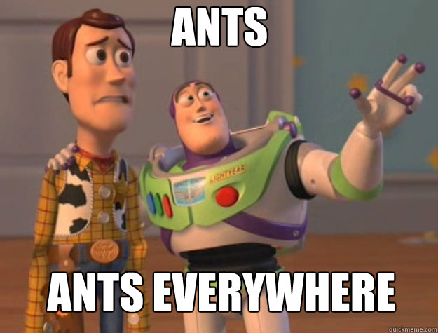 ANTS ANTS everywhere - ANTS ANTS everywhere  Toy Story