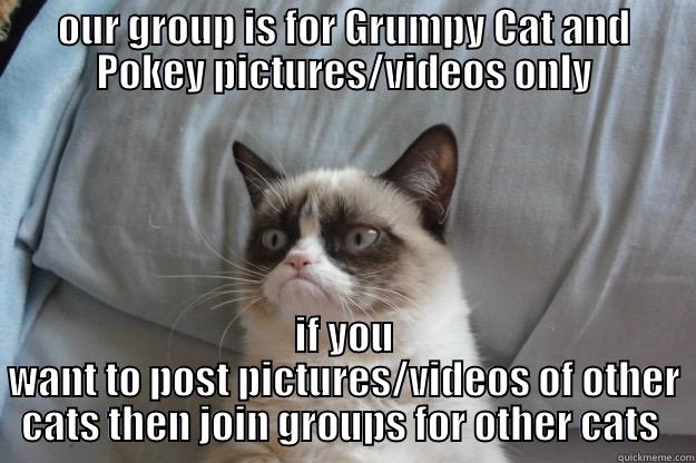 lol :D - OUR GROUP IS FOR GRUMPY CAT AND POKEY PICTURES/VIDEOS ONLY IF YOU WANT TO POST PICTURES/VIDEOS OF OTHER CATS THEN JOIN GROUPS FOR OTHER CATS  Grumpy Cat