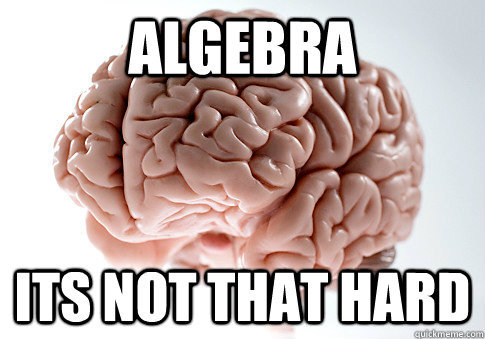 Algebra its not that hard  Scumbag Brain