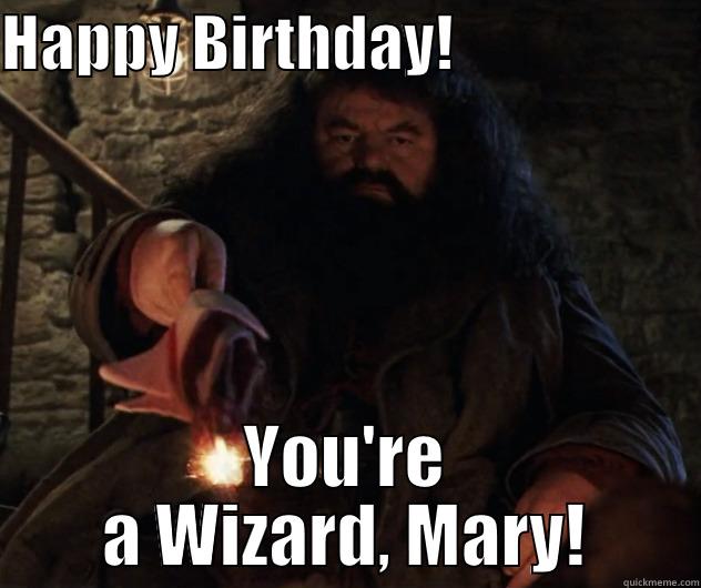 HAPPY BIRTHDAY!                     YOU'RE A WIZARD, MARY! Misc