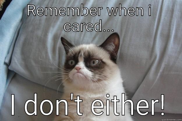 REMEMBER WHEN I CARED... I DON'T EITHER! Grumpy Cat