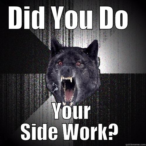 SIDEWORK N - DID YOU DO  YOUR SIDE WORK?  Insanity Wolf