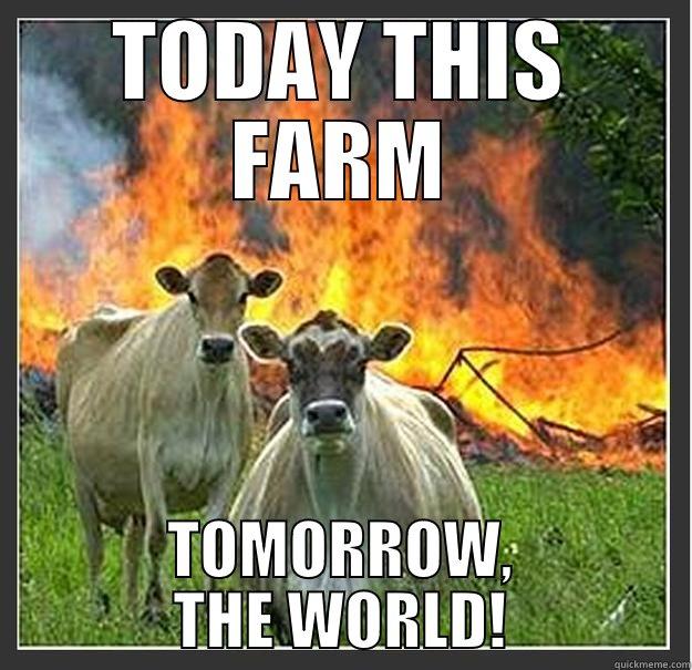 today this farm - TODAY THIS FARM TOMORROW, THE WORLD! Evil cows