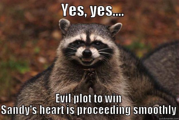                      YES, YES....                    EVIL PLOT TO WIN SANDY'S HEART IS PROCEEDING SMOOTHLY Evil Plotting Raccoon