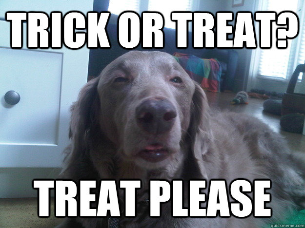 Trick or treat? Treat please - Trick or treat? Treat please  Misc