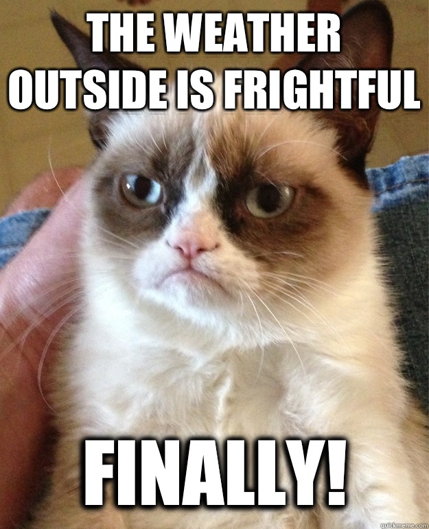 The weather outside is frightful Finally!  Grumpy Cat