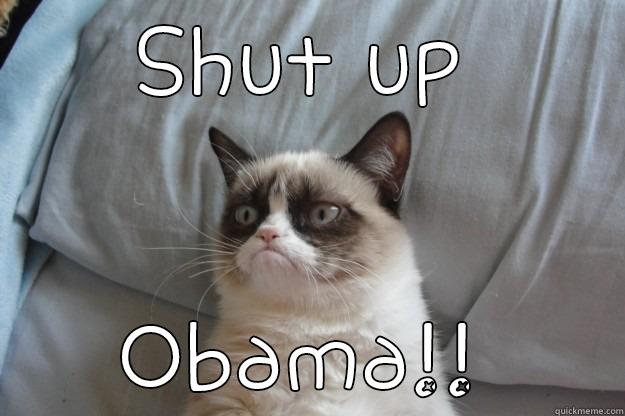 SHUT UP OBAMA!! Grumpy Cat