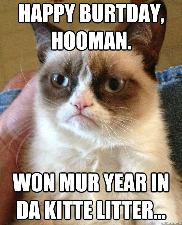 Happy burtday, hooman. won mur year in da kitte litter...  Grumpy Cat