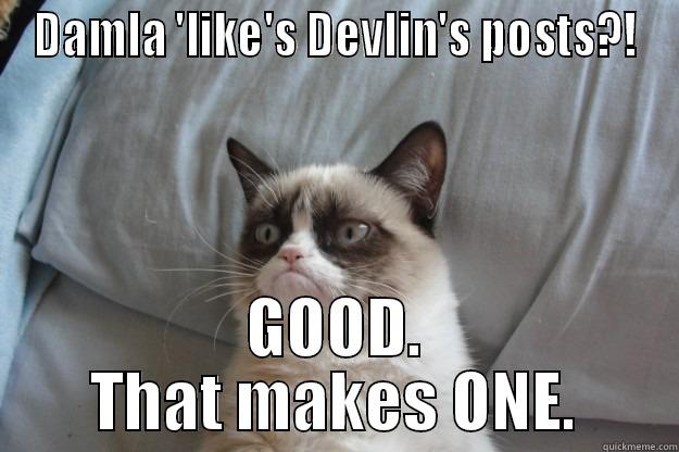 DAMLA 'LIKE'S DEVLIN'S POSTS?! GOOD. THAT MAKES ONE. Grumpy Cat