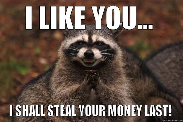 I LIKE YOU... I SHALL STEAL YOUR MONEY LAST! Evil Plotting Raccoon