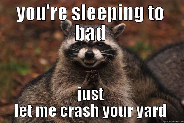 YOU'RE SLEEPING TO BAD JUST LET ME CRASH YOUR YARD Evil Plotting Raccoon