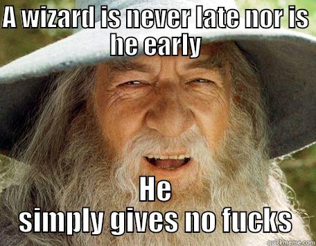 A WIZARD IS NEVER LATE NOR IS HE EARLY HE SIMPLY GIVES NO FUCKS Misc