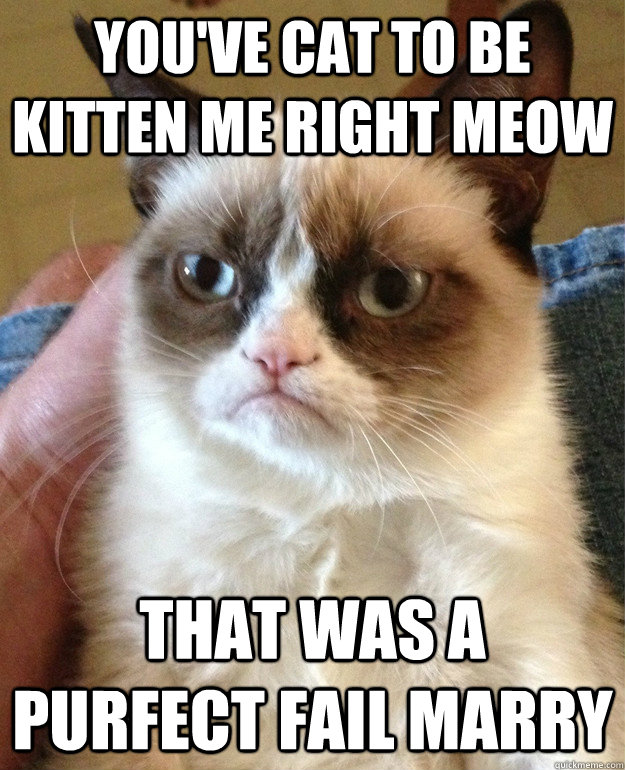 You've cat to be kitten me right meow that was a purfect fail marry  Grumpy Cat