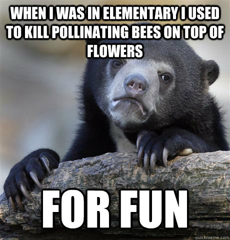 when i was in elementary i used to kill pollinating bees on top of flowers for fun  Confession Bear