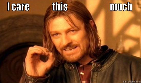 I CARE              THIS                          MUCH  Boromir