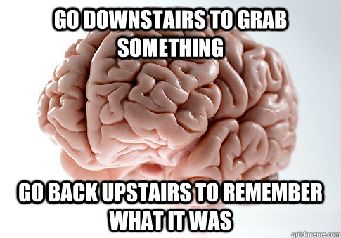 go downstairs to grab something go back upstairs to remember what it was  Scumbag Brain