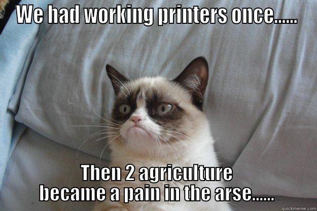 We hard working printers once - WE HAD WORKING PRINTERS ONCE...... THEN 2 AGRICULTURE BECAME A PAIN IN THE ARSE...... Grumpy Cat