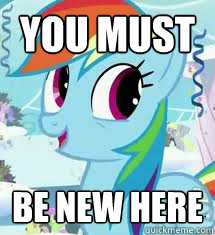 YOU MUST BE NEW HERE  Rainbow Dash