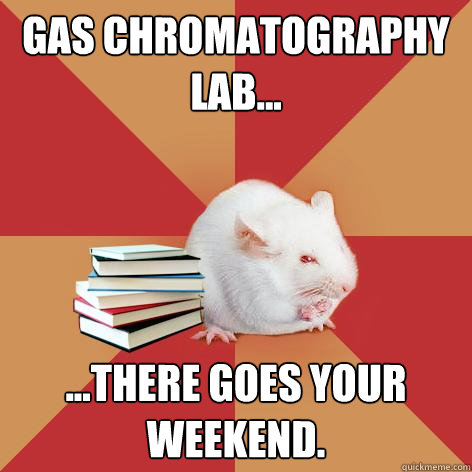 Gas chromatography lab... ...there goes your weekend.  Science Major Mouse