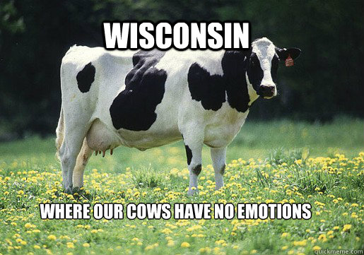 Wisconsin where our cows have no emotions   wisconsin cows