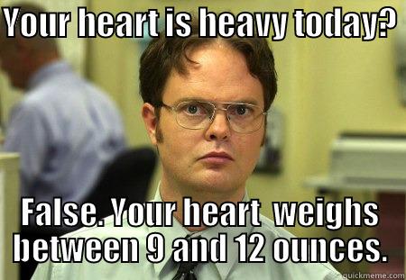 It is with a heavy heart.... - YOUR HEART IS HEAVY TODAY?  FALSE. YOUR HEART  WEIGHS BETWEEN 9 AND 12 OUNCES. Schrute