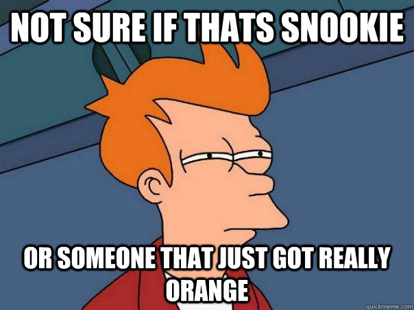 not sure if thats snookie or someone that just got really orange  Futurama Fry