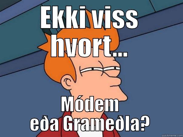 EKKI VISS HVORT... MÓDEM EÐA GRAMEÐLA? Futurama Fry