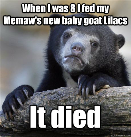 When I was 8 I fed my Memaw's new baby goat Lilacs It died  Confession Bear