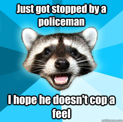 Just got stopped by a policeman I hope he doesn't cop a feel  - Just got stopped by a policeman I hope he doesn't cop a feel   Lame Pun Coon