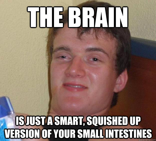 the brain is just a smart, squished up version of your small intestines  10 Guy