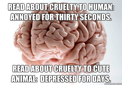 Read about cruelty to human:  Annoyed for thirty seconds. Read about cruelty to cute animal:  Depressed for days.  Scumbag Brain