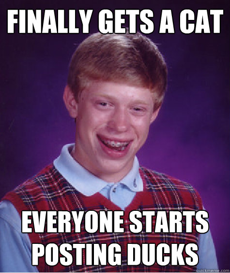 Finally gets a cat everyone starts posting DUCKS  Bad Luck Brian