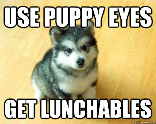 Use puppy eyes get lunchables  Baby Courage Wolf