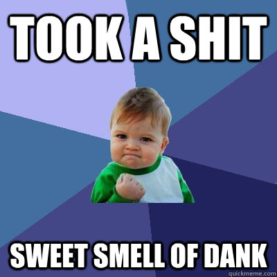 took a shit sweet smell of dank  Success Kid