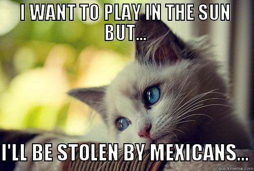 I WANT TO PLAY IN THE SUN BUT...  I'LL BE STOLEN BY MEXICANS... First World Problems Cat