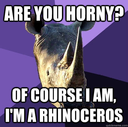 Are you horny? Of course I am, I'm a Rhinoceros   Sexually Oblivious Rhino