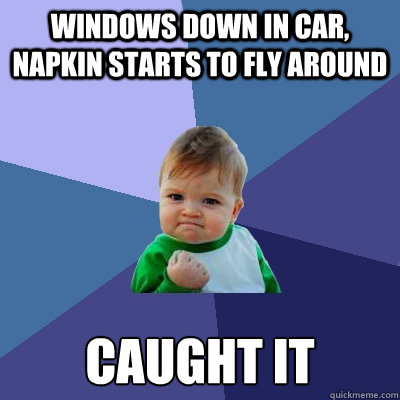 Windows down in car, napkin starts to fly around caught it - Windows down in car, napkin starts to fly around caught it  Success Kid