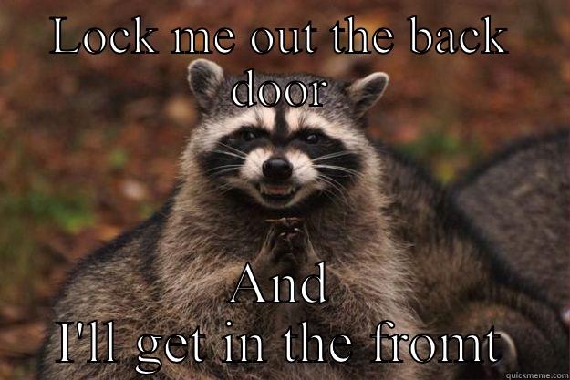 LOCK ME OUT THE BACK DOOR AND I'LL GET IN THE FRONT  Evil Plotting Raccoon