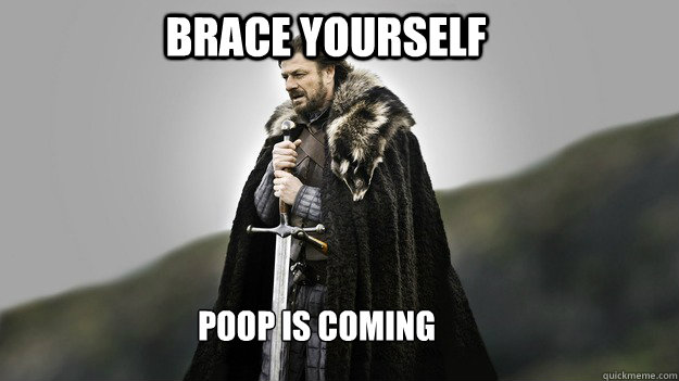 brace yourself poop is coming - brace yourself poop is coming  Ned stark winter is coming