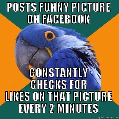 Posts funny picture on facebook, constantly checks for likes every 2 minutes - POSTS FUNNY PICTURE ON FACEBOOK CONSTANTLY CHECKS FOR LIKES ON THAT PICTURE EVERY 2 MINUTES Paranoid Parrot