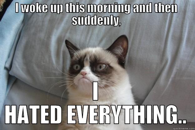 I WOKE UP THIS MORNING AND THEN SUDDENLY, I HATED EVERYTHING.. Grumpy Cat