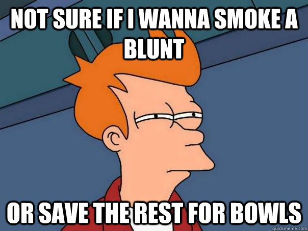 Not sure if i wanna smoke a blunt Or save the rest for bowls  Futurama Fry