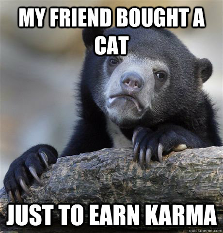 my friend bought a cat just to earn karma - my friend bought a cat just to earn karma  Confession Bear