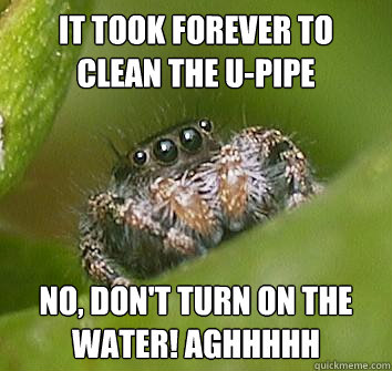 It took forever to clean the U-pipe no, don't turn on the water! aghhhhh  Misunderstood Spider